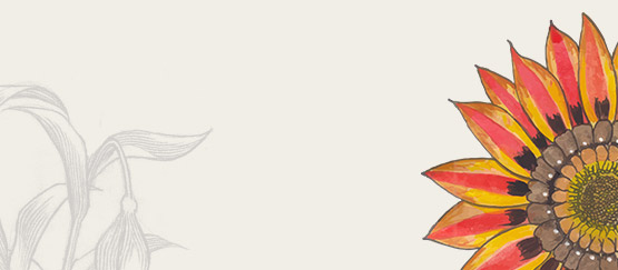 Explore Our Wellness Articles