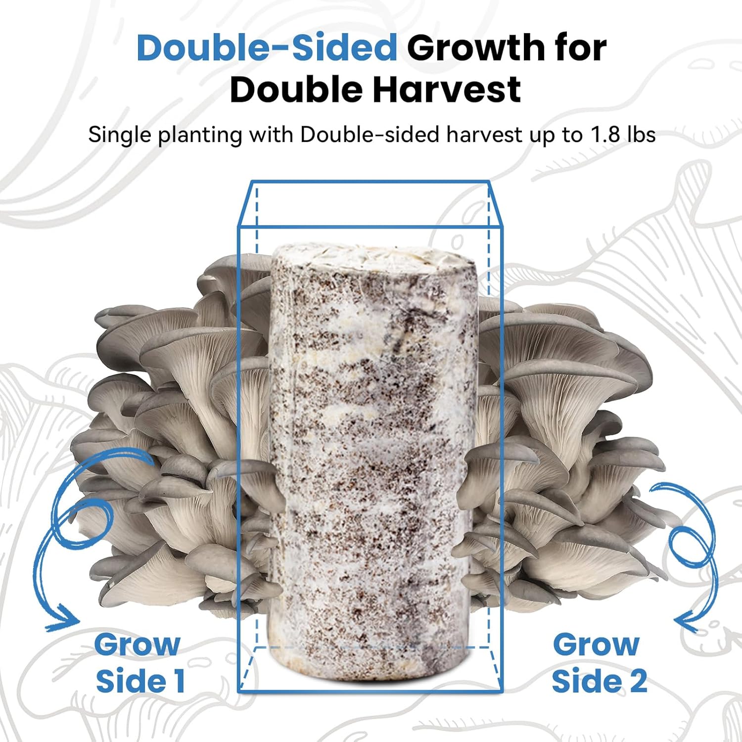 π Organic Blue Oyster Mushroom Grow Kit (4lbs), Made in USA - Image 2