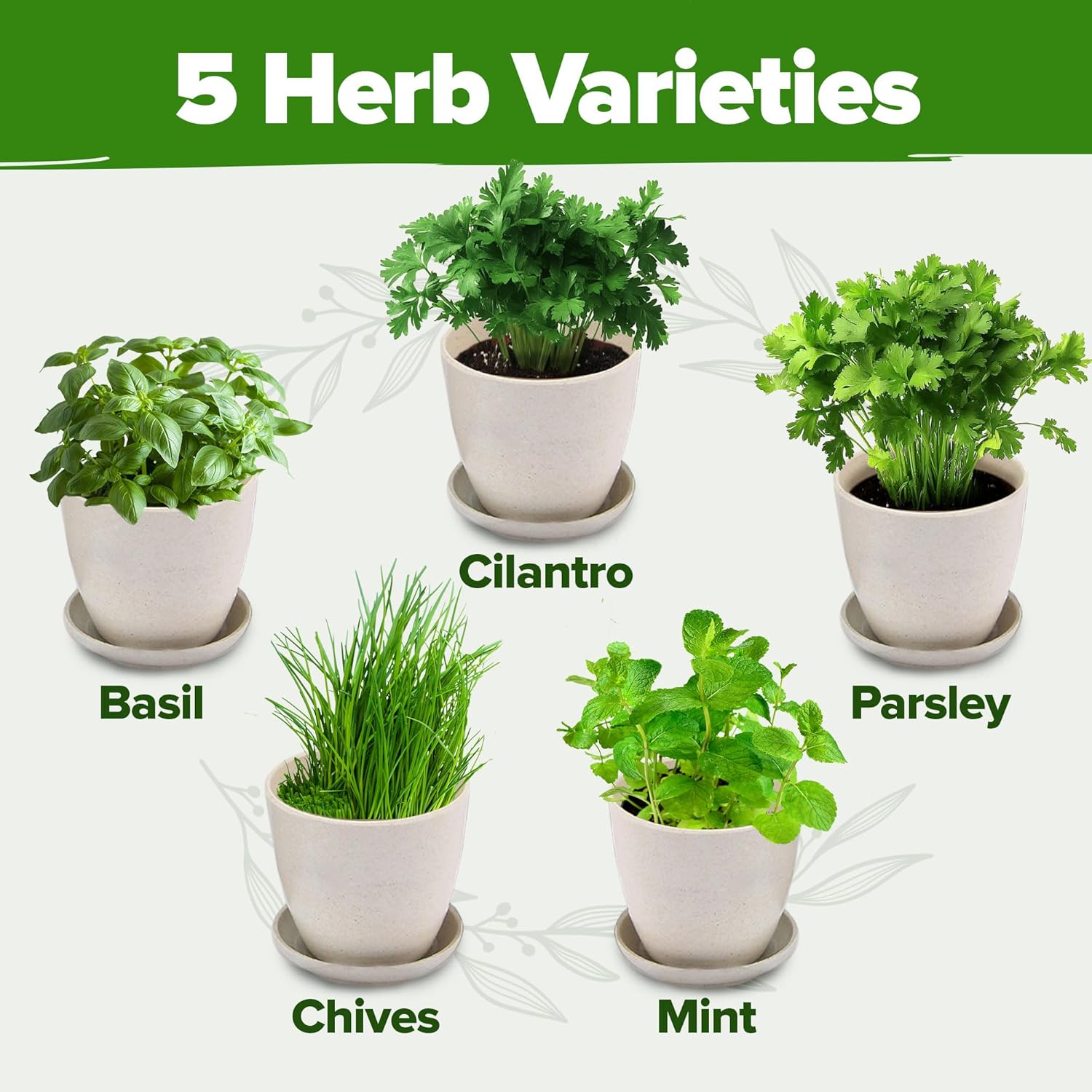 π± HOME GROWN Indoor Herb Garden Starter Kit - Image 4