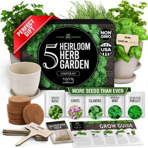 🌱 HOME GROWN Indoor Herb Garden Starter Kit